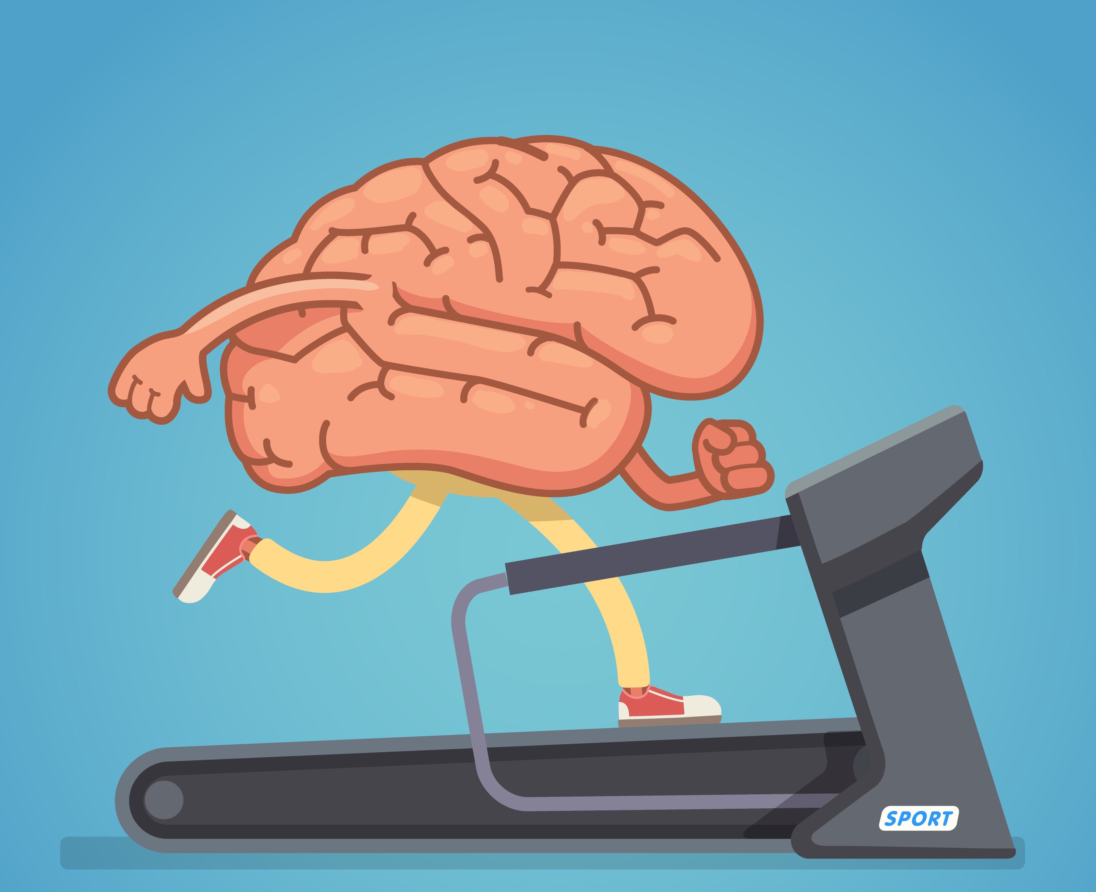 exercise and the brain