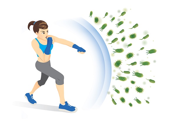 exercise and the immune system