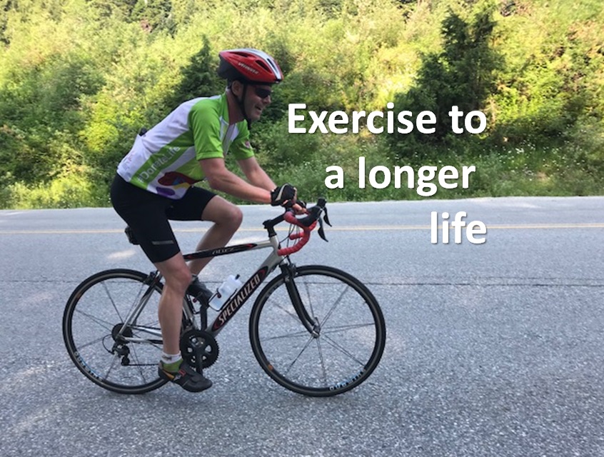 Exercise increases lifespan