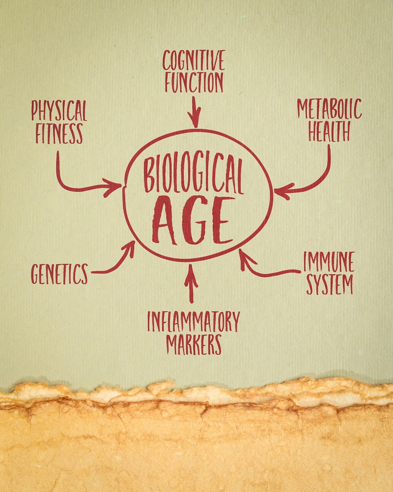 What is biological age?