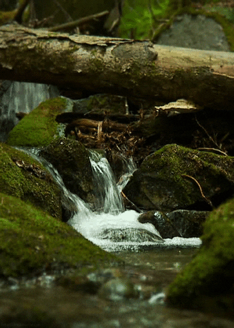 calming stream