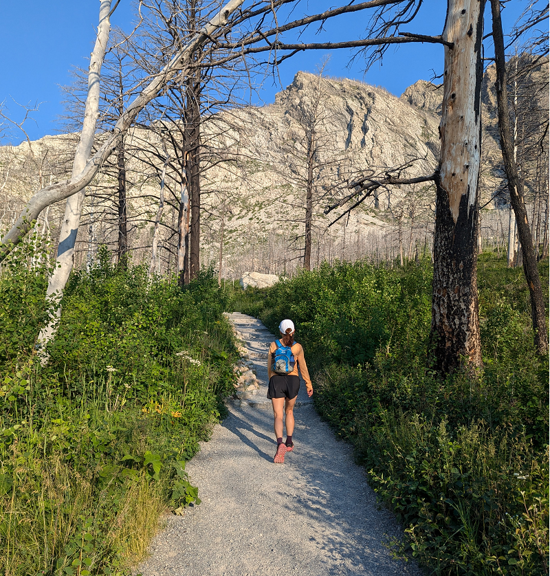 Getting Back to Nature is Good for You